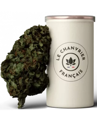 Le Chanvrier Français Bubblegum CBD topskud – 10% Greenhouse
