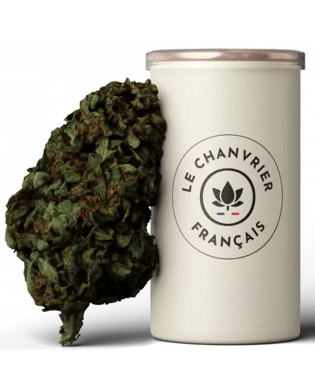 Le Chanvrier Français Bubblegum CBD topskud