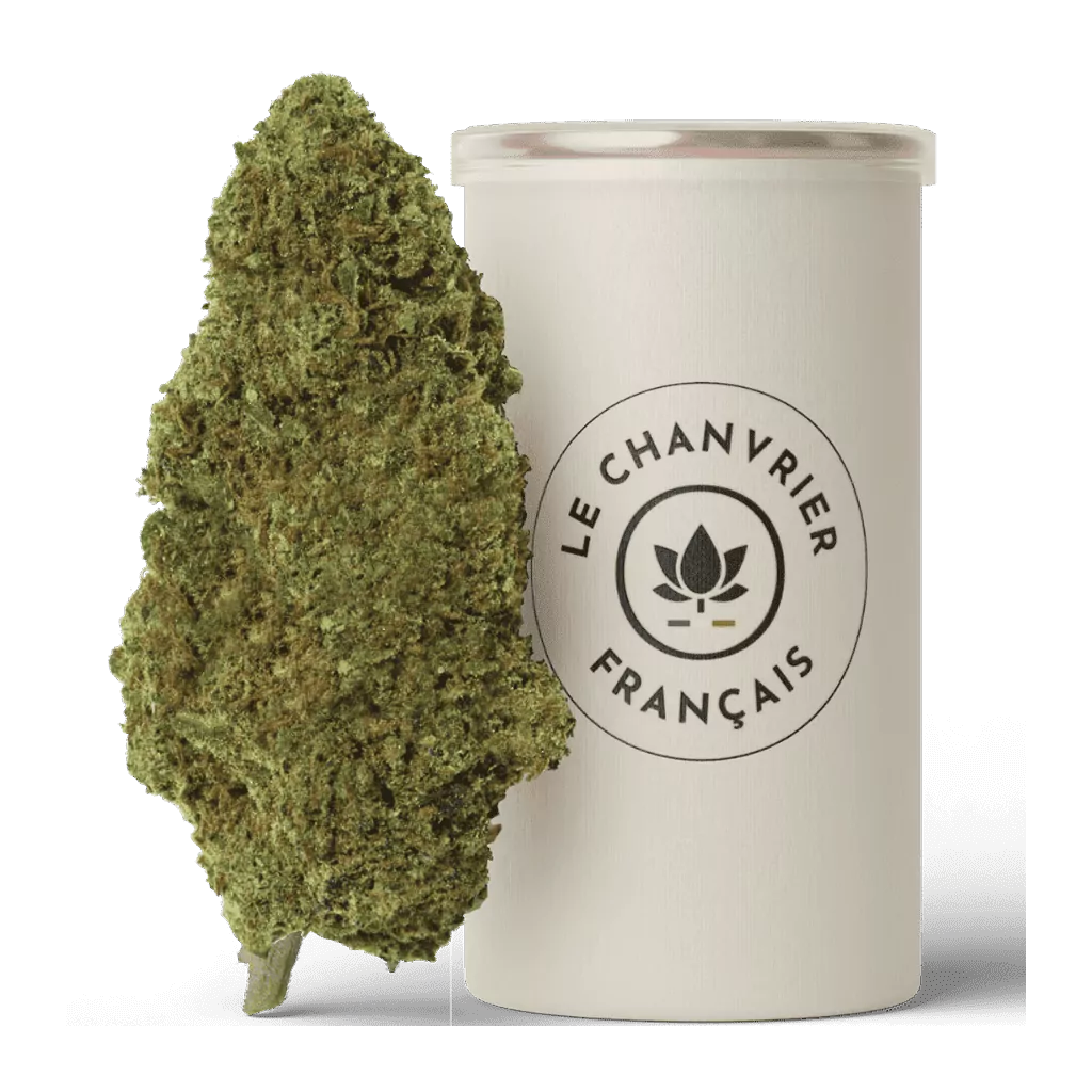 Le Chanvrier Français Cookie V2 CBD topskud