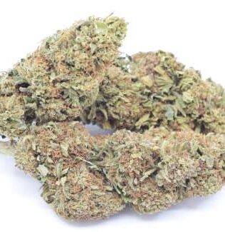 Swiss made cbd blüten Jamaican Pearl – 15% CBD