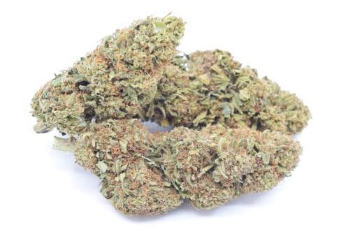 swiss made cbd topskud jamaican pearl