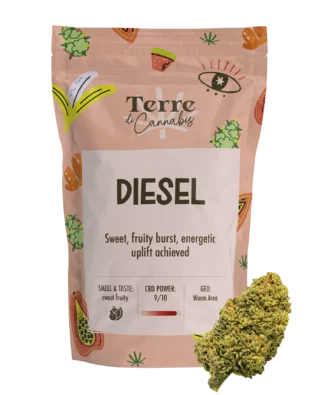 Terre di Cannabis Diesel cbd buds – 20% CBD
