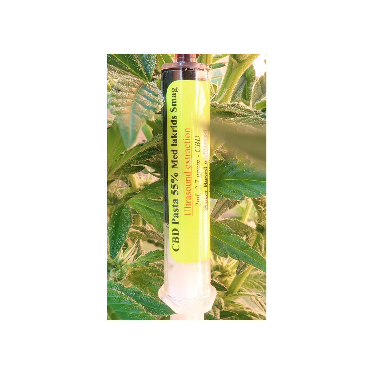 cbd pasta med lakridssmag vandopløselig