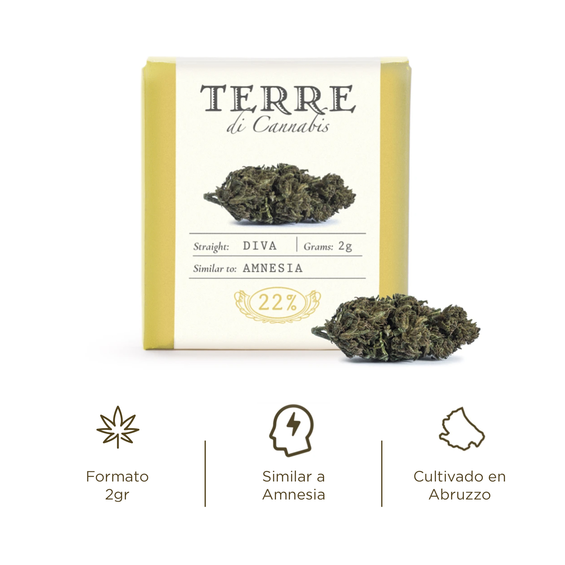 diva cbd topskud cannabis amnesia