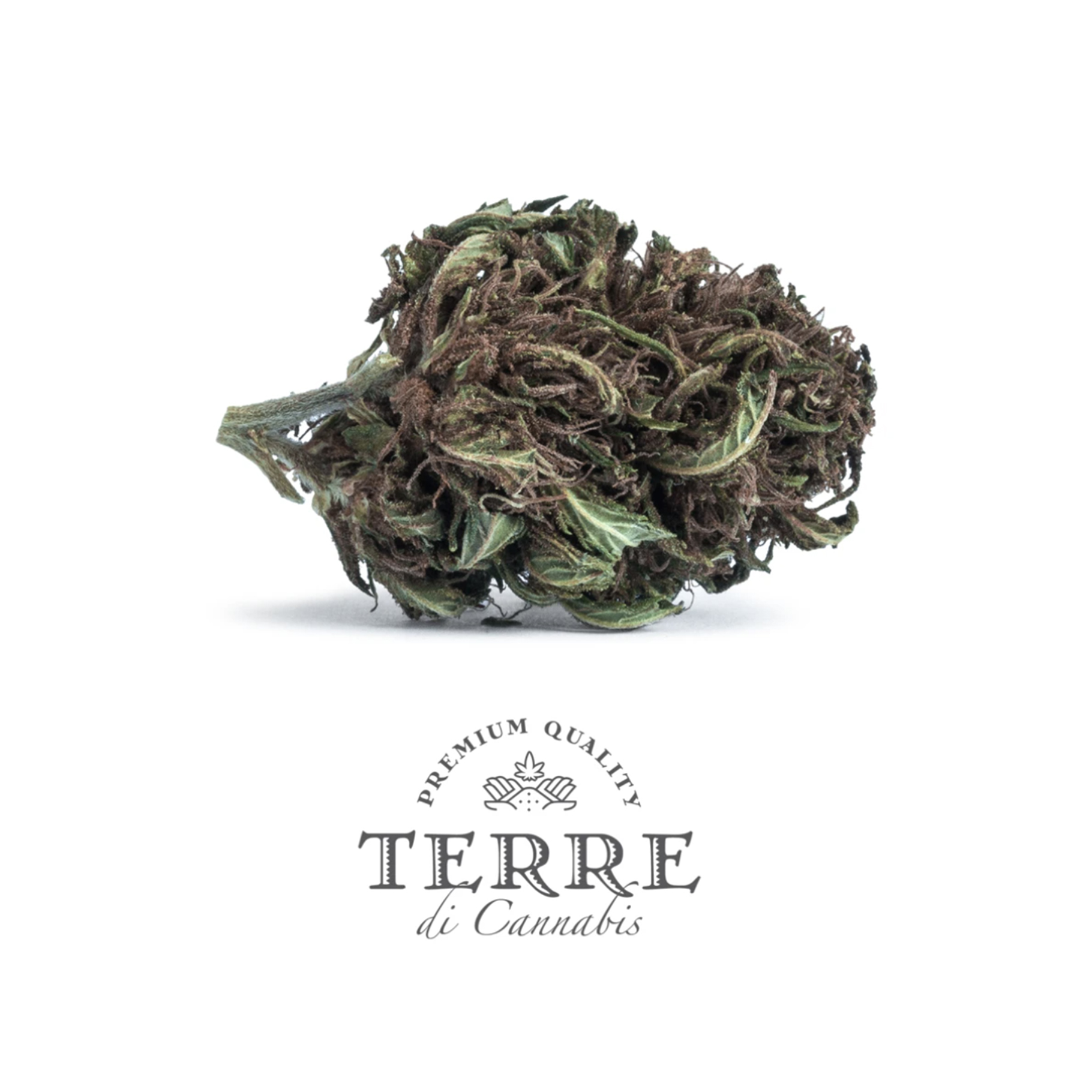 Stella CBD topskud Purple Haze - 22% CBD - Image 3