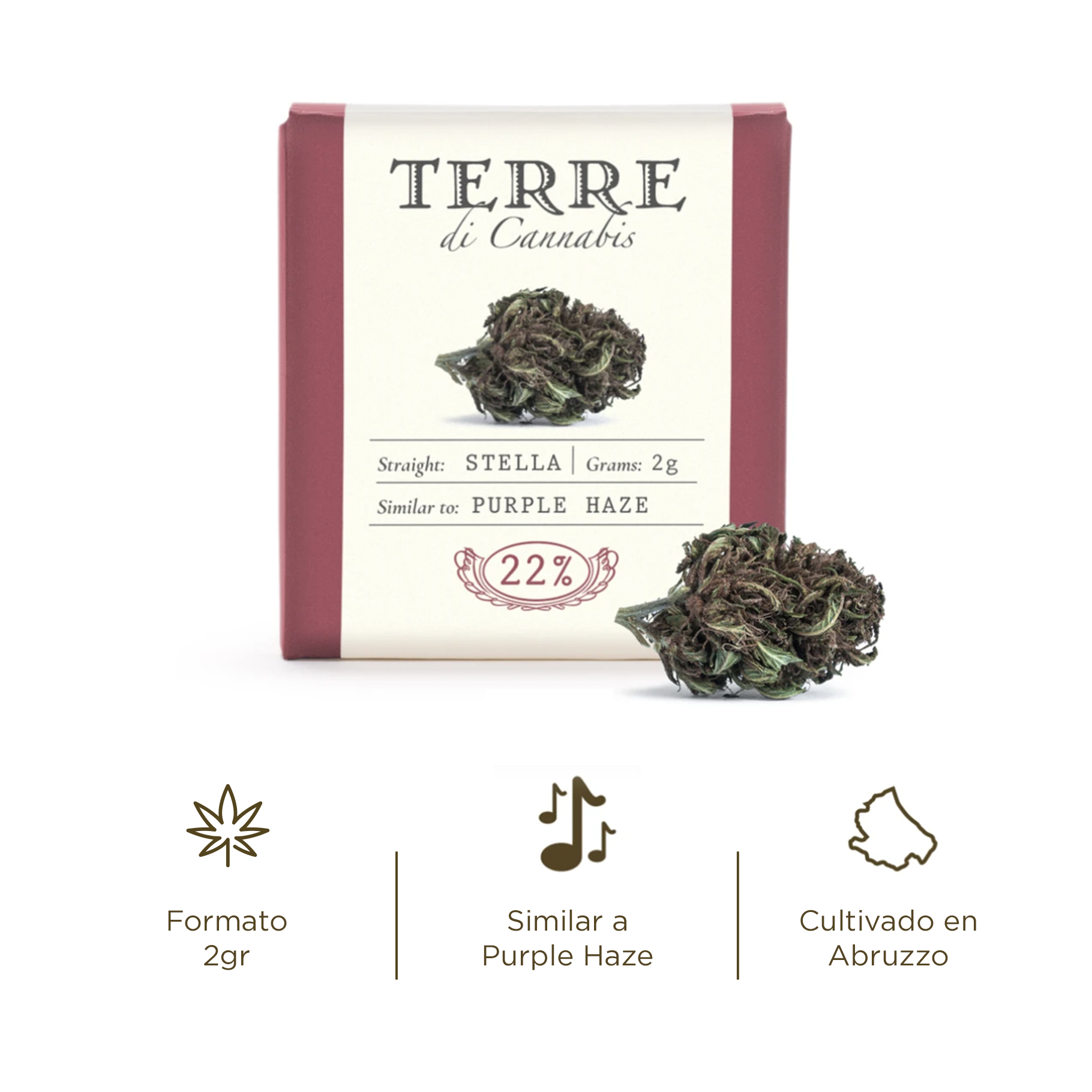 stella cbd topskud purple haze cannabis