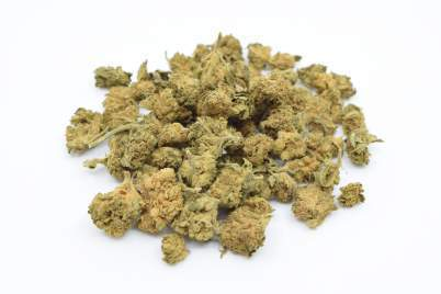 swiss made popcorn cbd buds