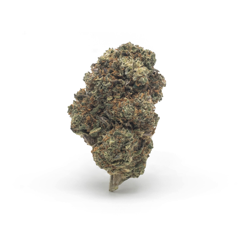 The Tree CBD Gelato topskud - 10% CBD (Indoor) - Billede 3