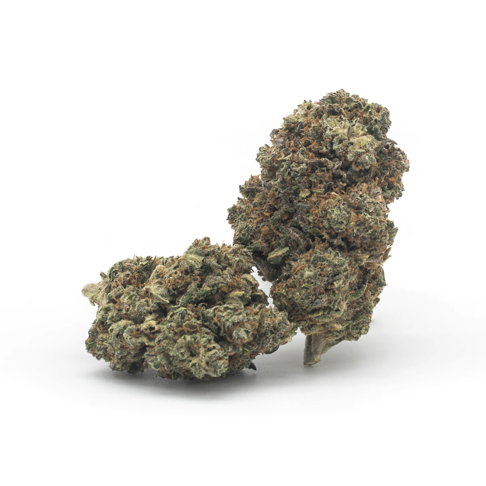 The Tree CBD Gelato topskud - 10% CBD (Indoor) - Billede 4