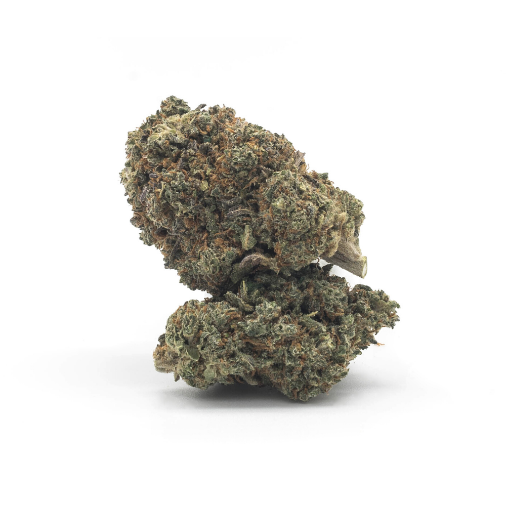 The Tree CBD Gelato topskud - 10% CBD (Indoor) - Billede 5