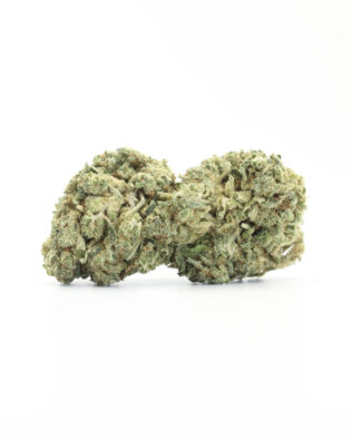 The Tree CBD Lemon Tree topskud – 15% CBD (Indoor)