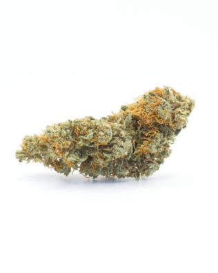 The Tree CBD Lifeguard CBG Topskud – 13% CBG (Outdoor)