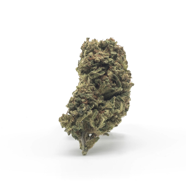 The Tree CBD Orange Cookies topskud - 12% CBD (Drivhus) - Billede 2