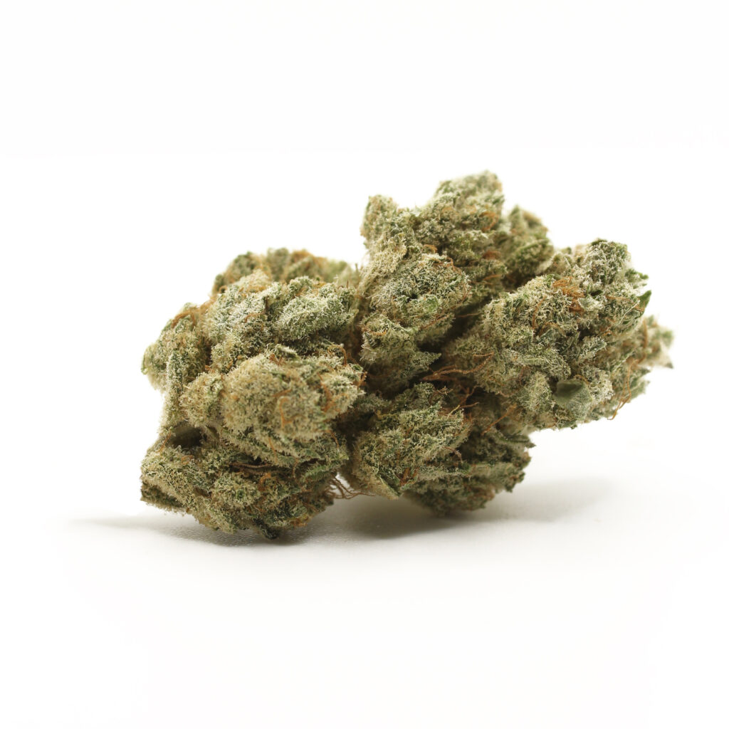 the tree cbd pistachio topskud buds flower