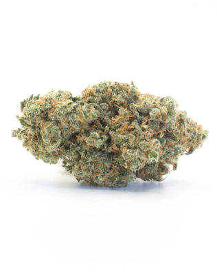 The Tree CBD Sundae Driver topskud – 22 % CBD (Indoor)