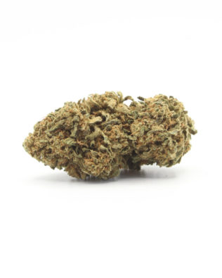 The Tree CBD Sweet island skunk topskud – 13% CBD (Outdoor)