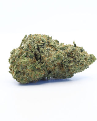 The Tree CBD Amnesia topskud – 21% CBD (Indoor)