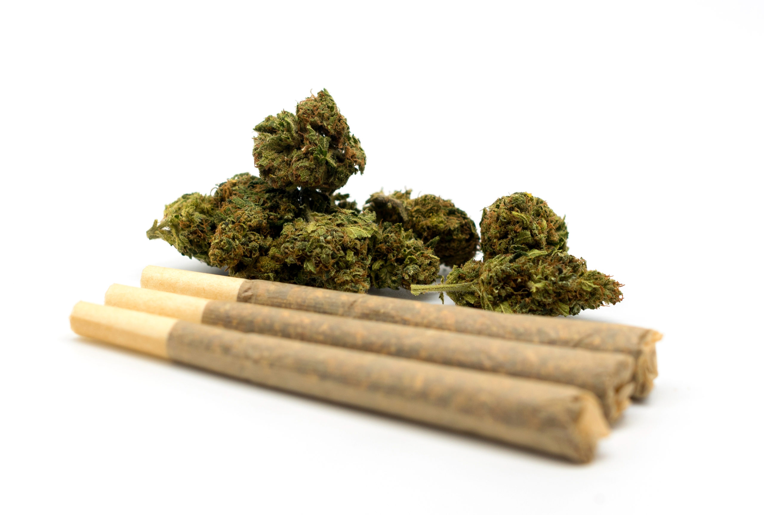 Tree CBD pre rolls - 22% CBD - Image 3