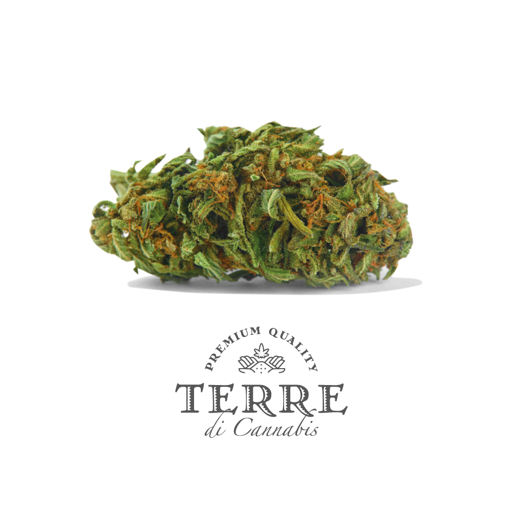 Volare CBD topskud Silver Haze - 18% CBD - Billede 2