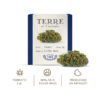 volare cbd topskud cannabis silver haze