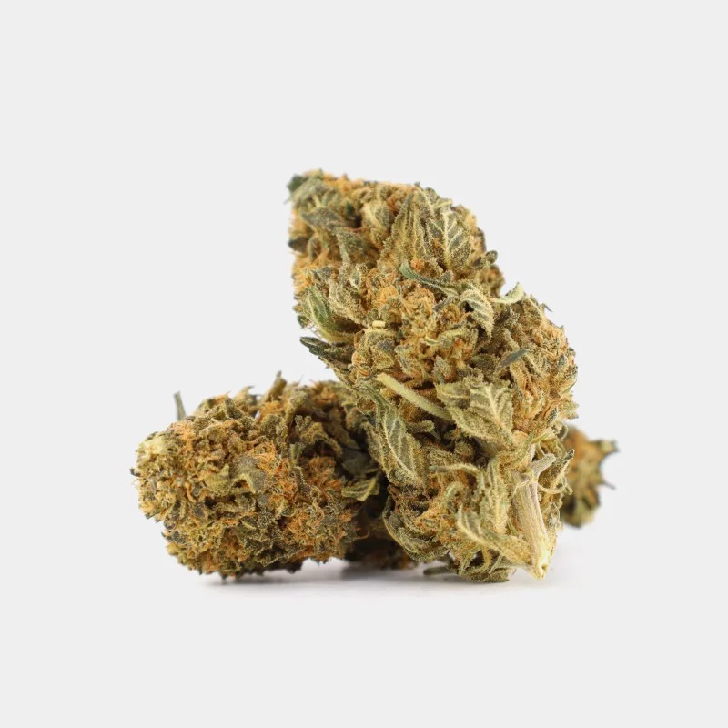 thca buds cheesy cream