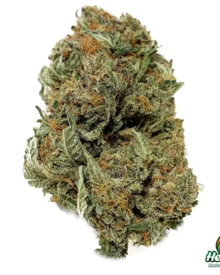Swiss made THC-P topskud V2 – 8%