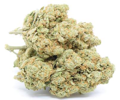 swiss made hhcp Knospen Amnesie