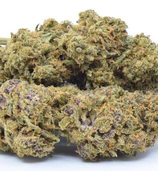 Swiss made THC-P topskud Candy Melon – 8%