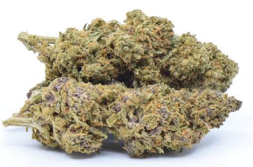 swiss made thcp buds candy melon